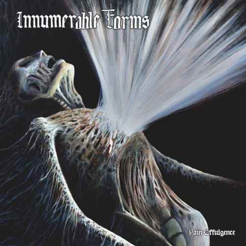 INNUMERABLE FORMS - Pain Effulgence CD